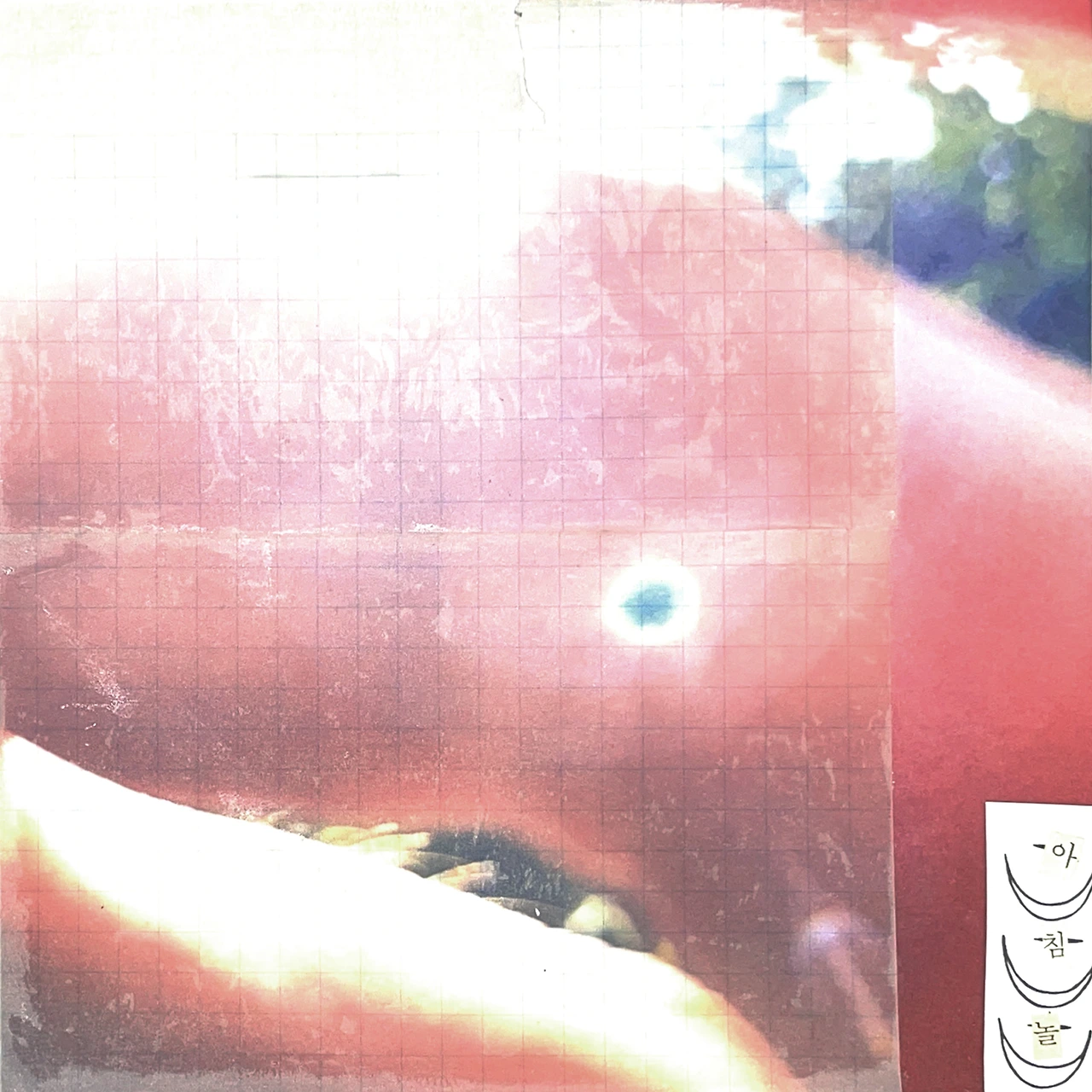 39024959.jpg?version=undefined