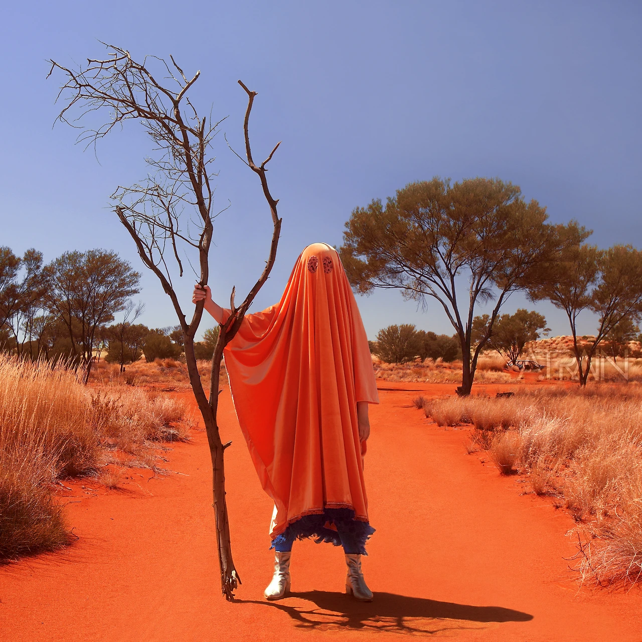 4129334.jpg?version=undefined