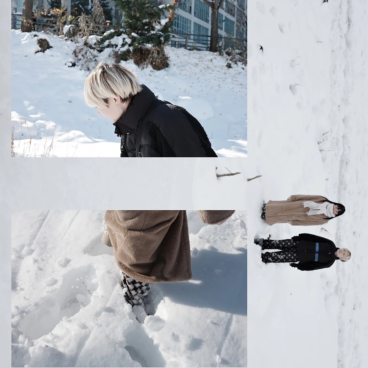 20699876.jpg?version=undefined