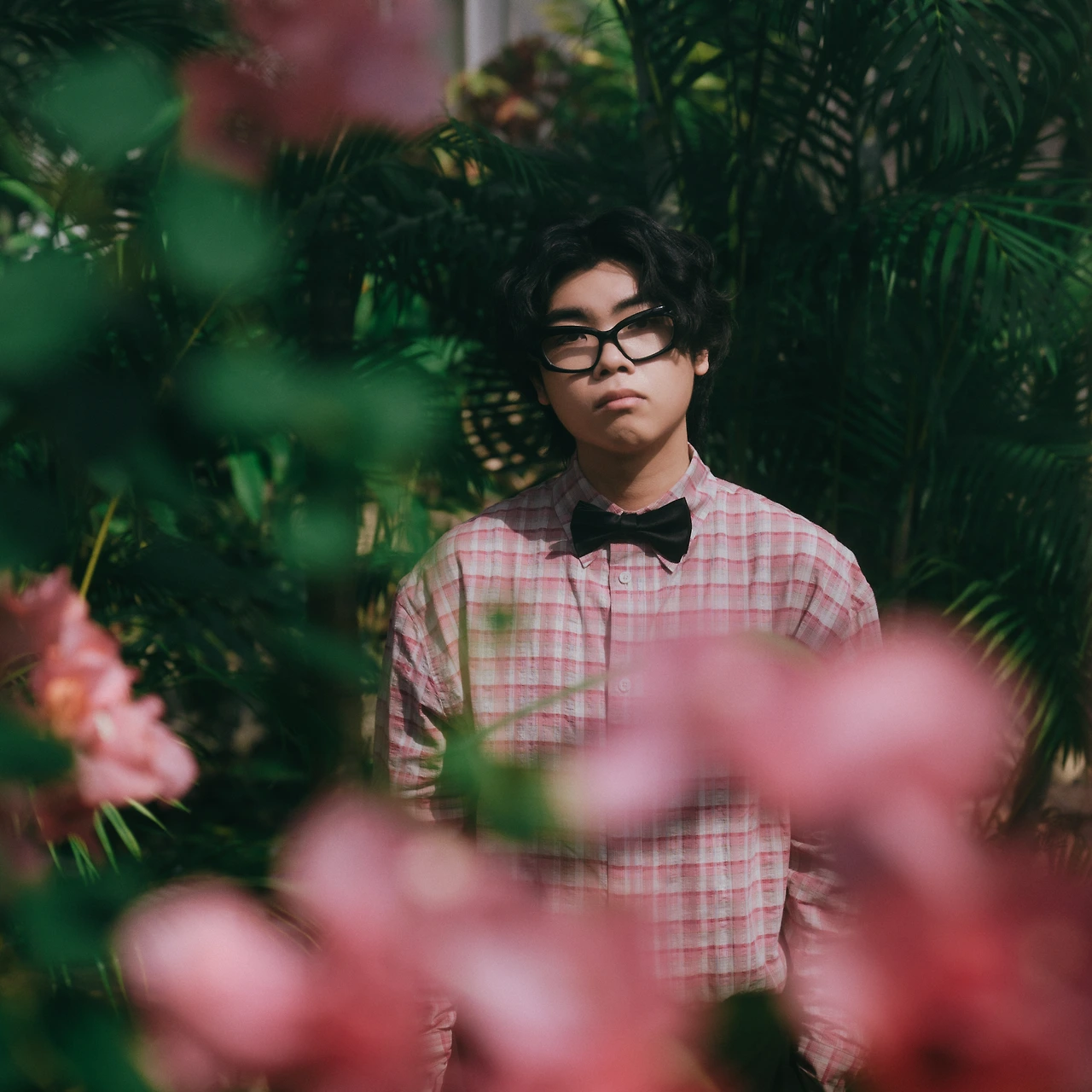 20713225.jpg?version=undefined