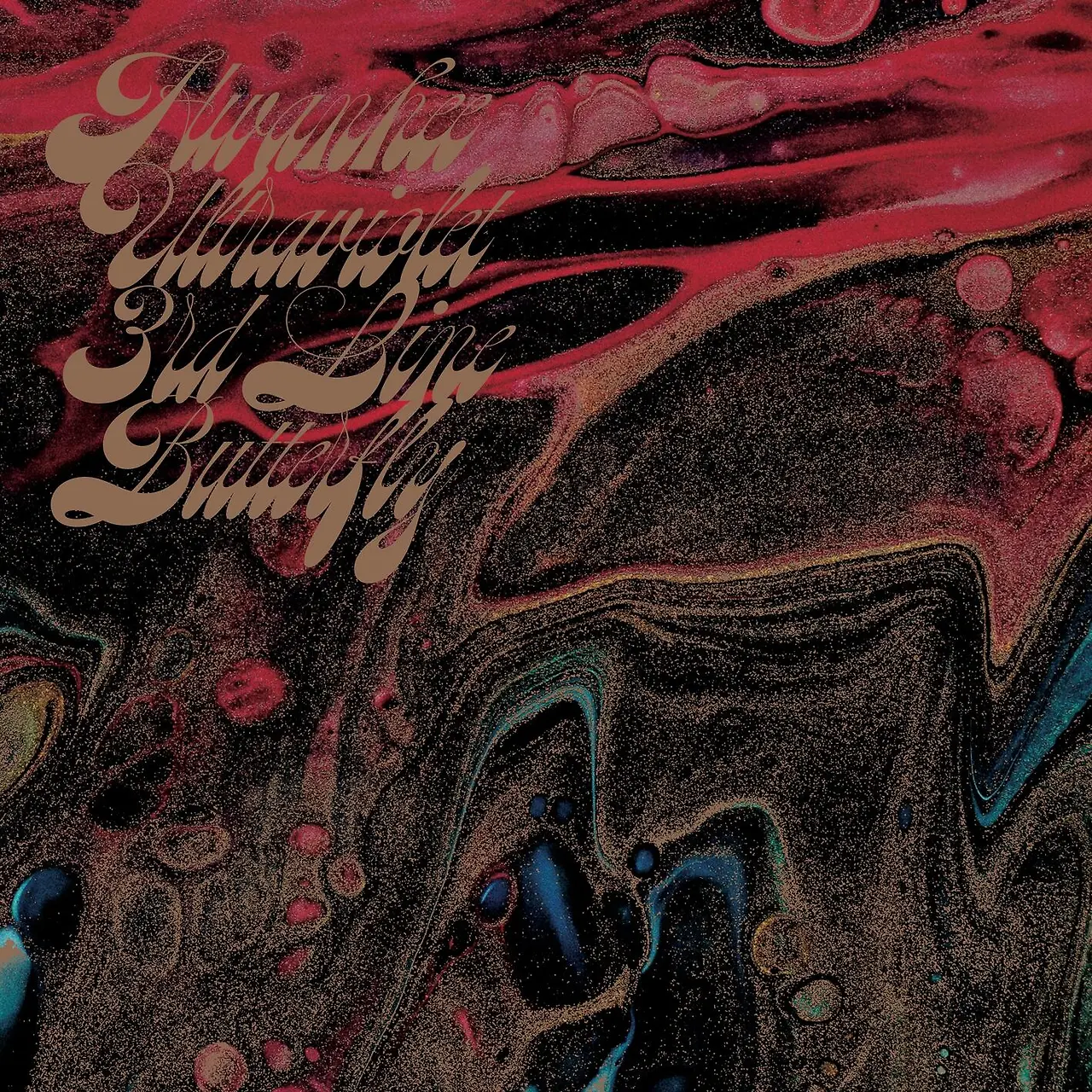 38601534.jpg?version=undefined