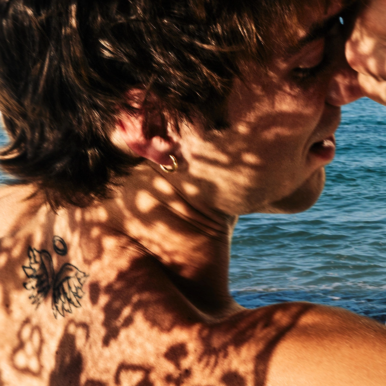 37091218.jpg?version=undefined