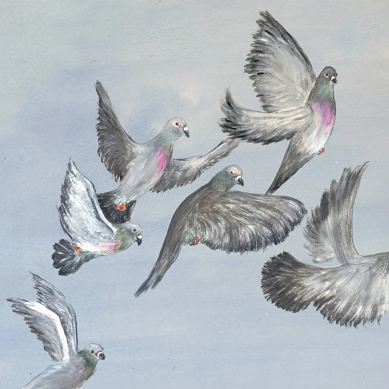 36602499.jpg?version=undefined