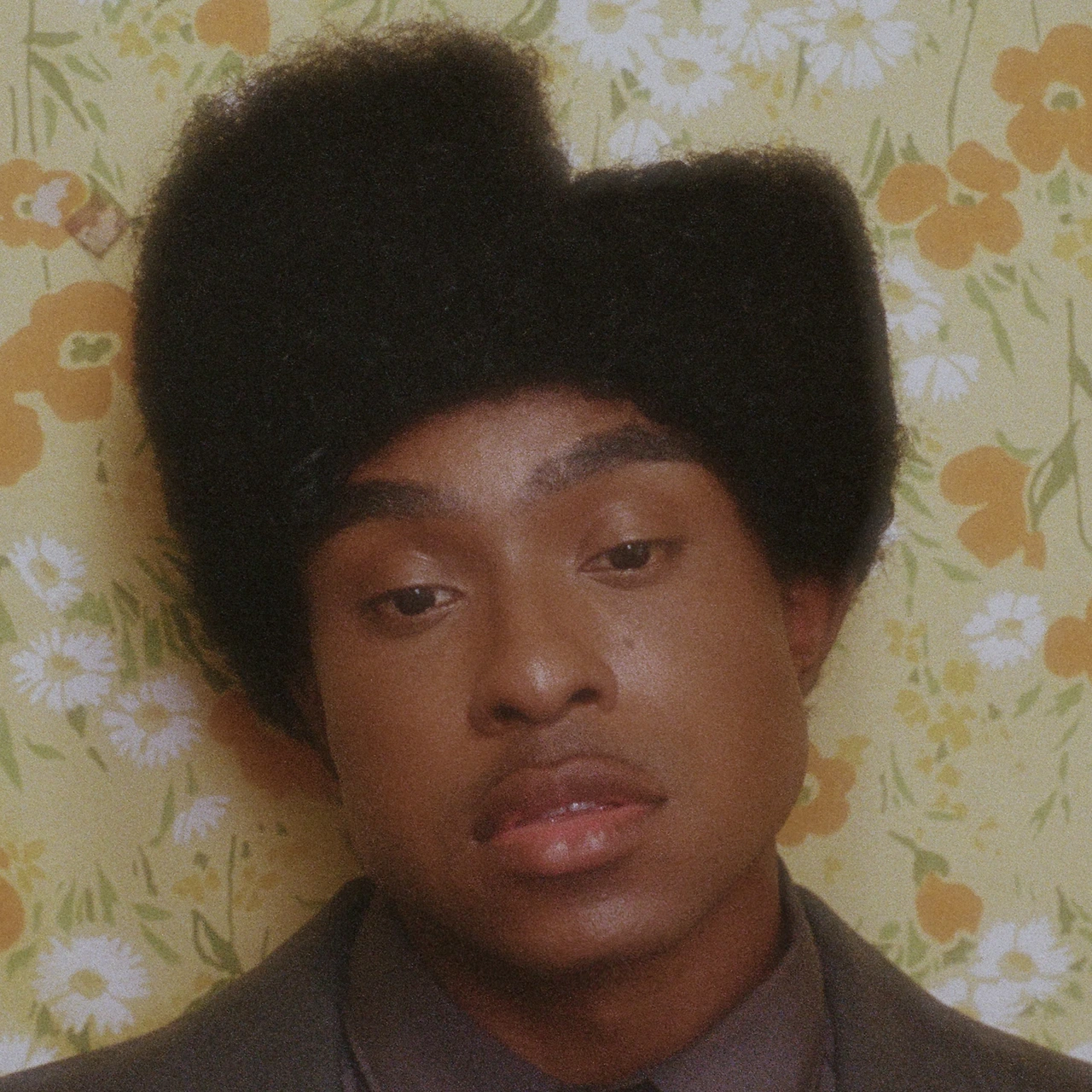 36712209.jpg?version=undefined