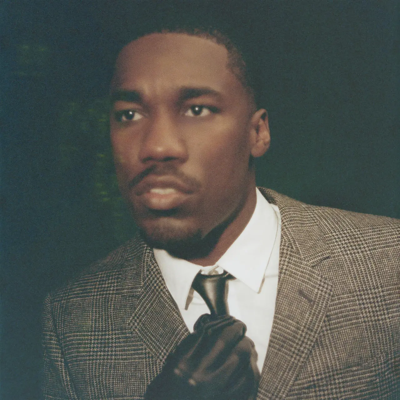 38312284.jpg?version=undefined