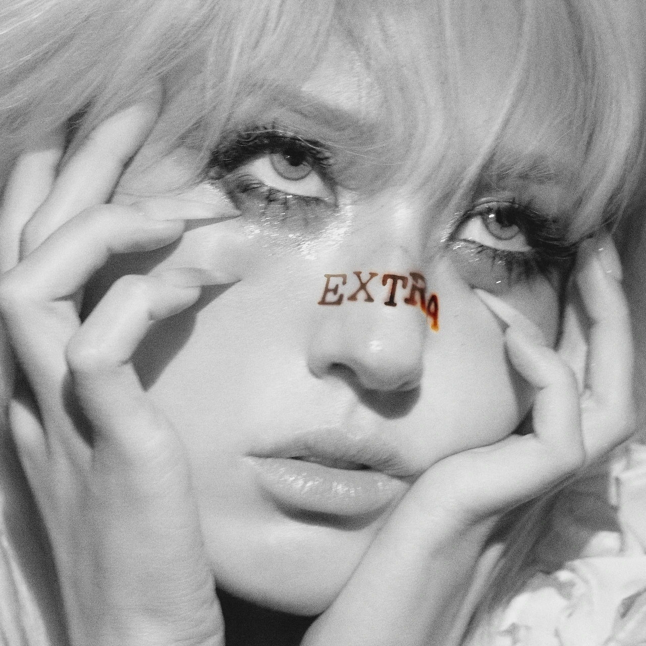 4122649.jpg?version=undefined