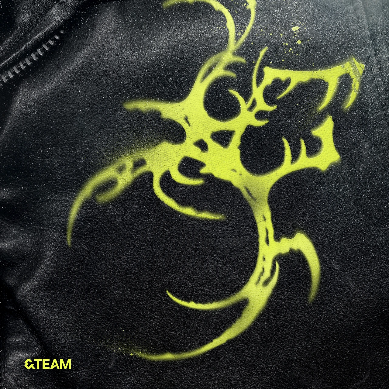 4131671.jpg?version=undefined