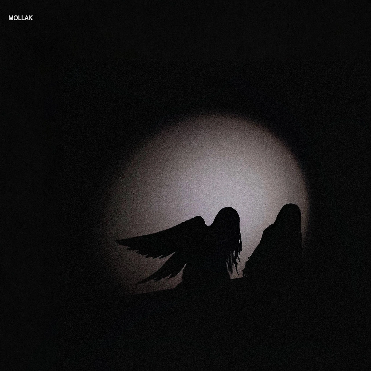 20737367.jpg?version=undefined