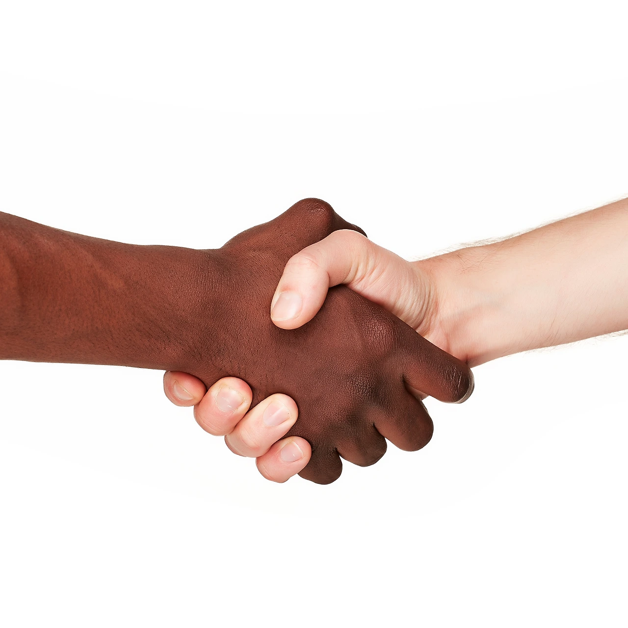 37837140.jpg?version=undefined