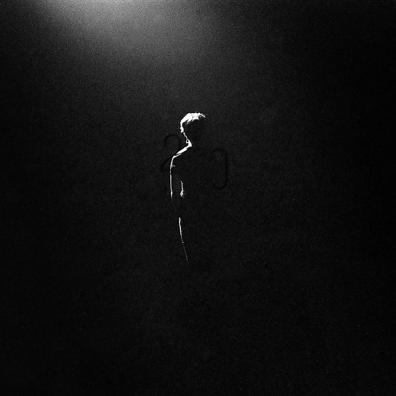 20776849.jpg?version=undefined