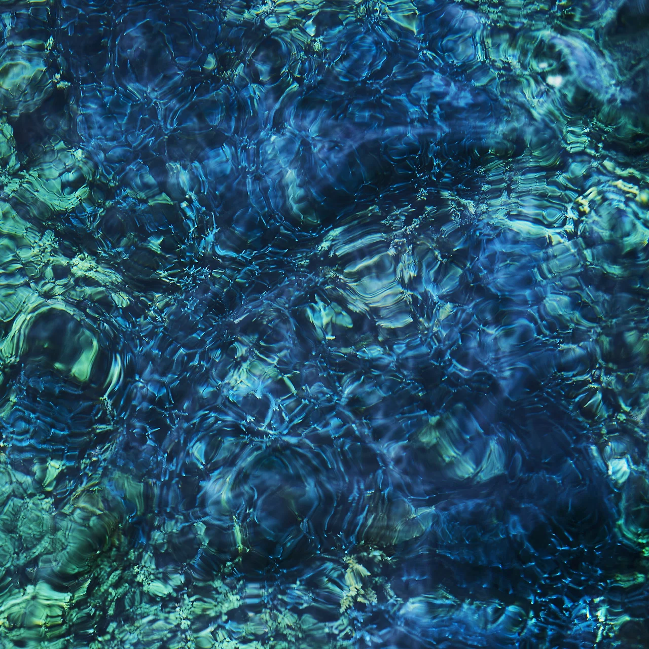 37277141.jpg?version=undefined