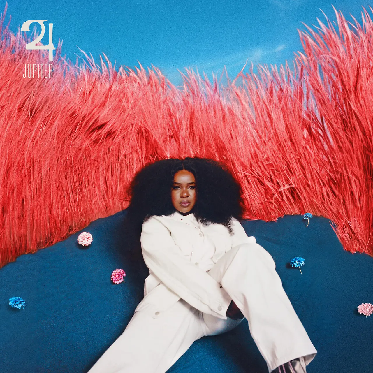 37113169.jpg?version=undefined