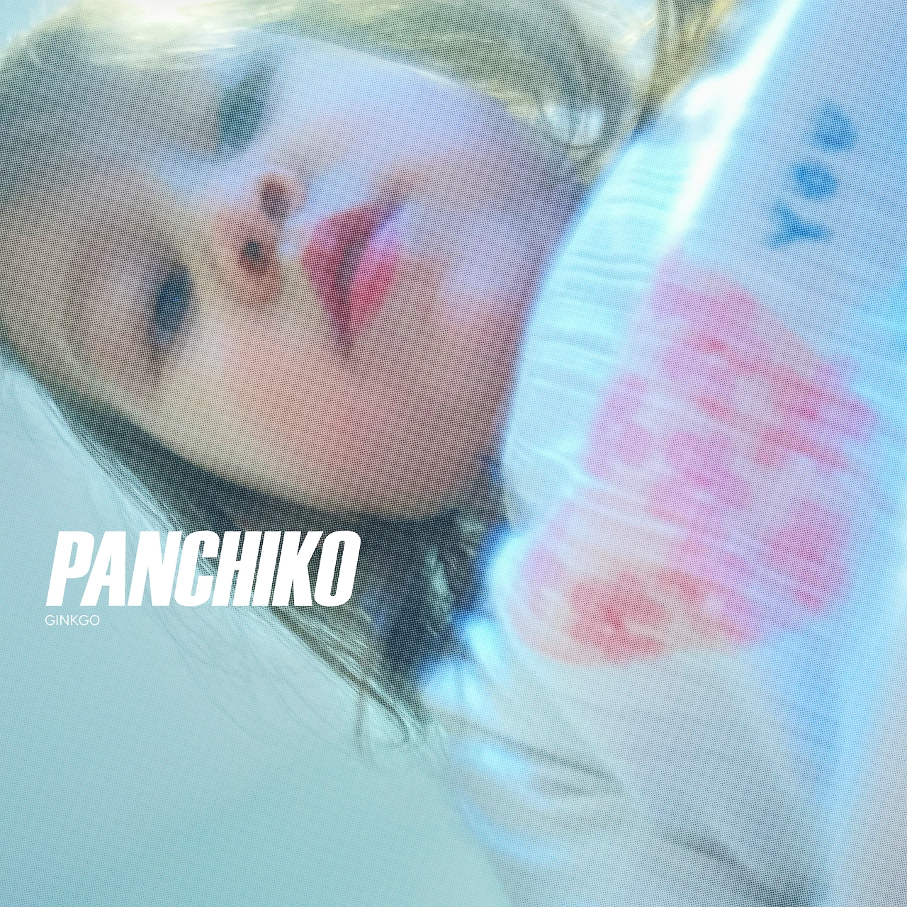 36099262.jpg?version=undefined