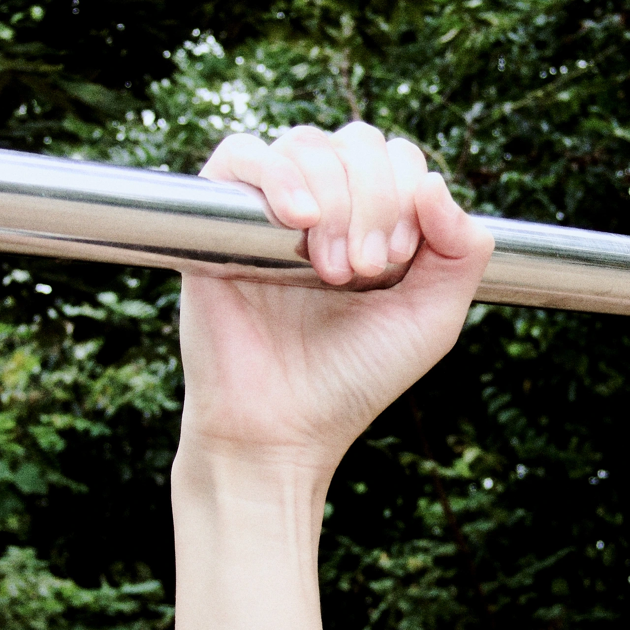 20768299.jpg?version=undefined