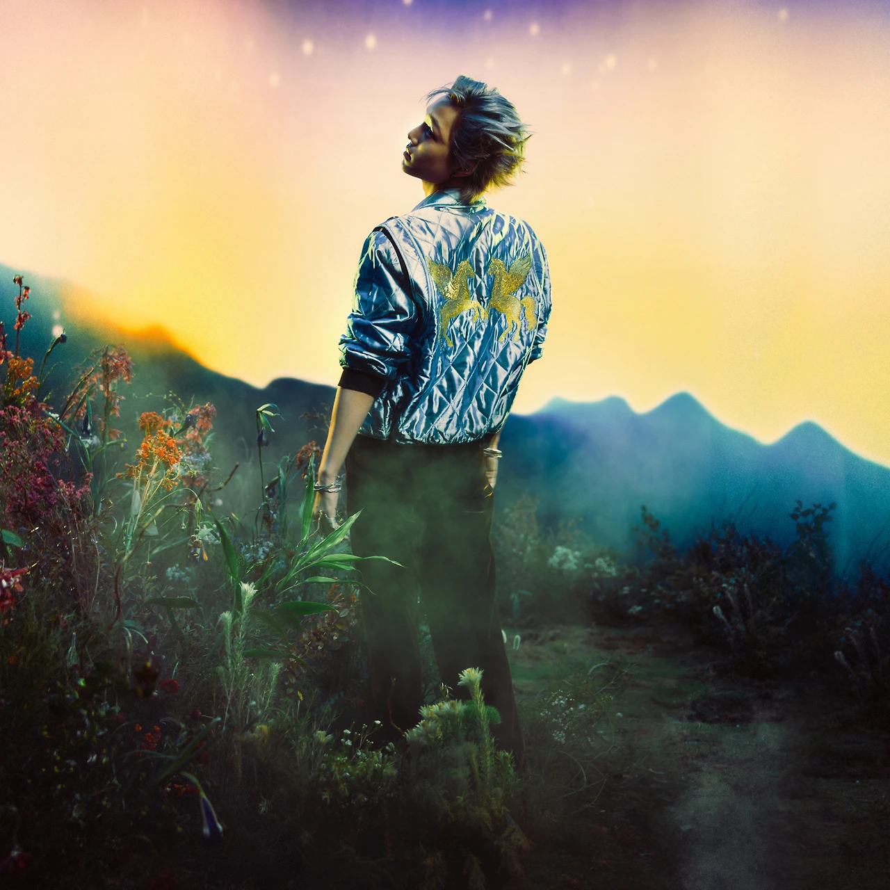 4117387.jpg?version=undefined