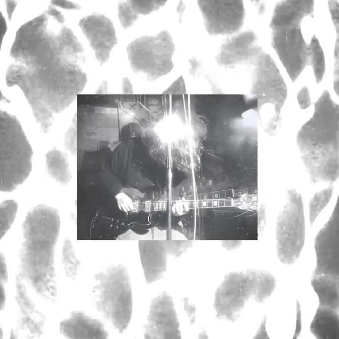 38051853.jpg?version=undefined