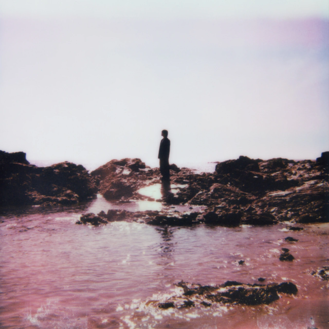 20752471.jpg?version=undefined