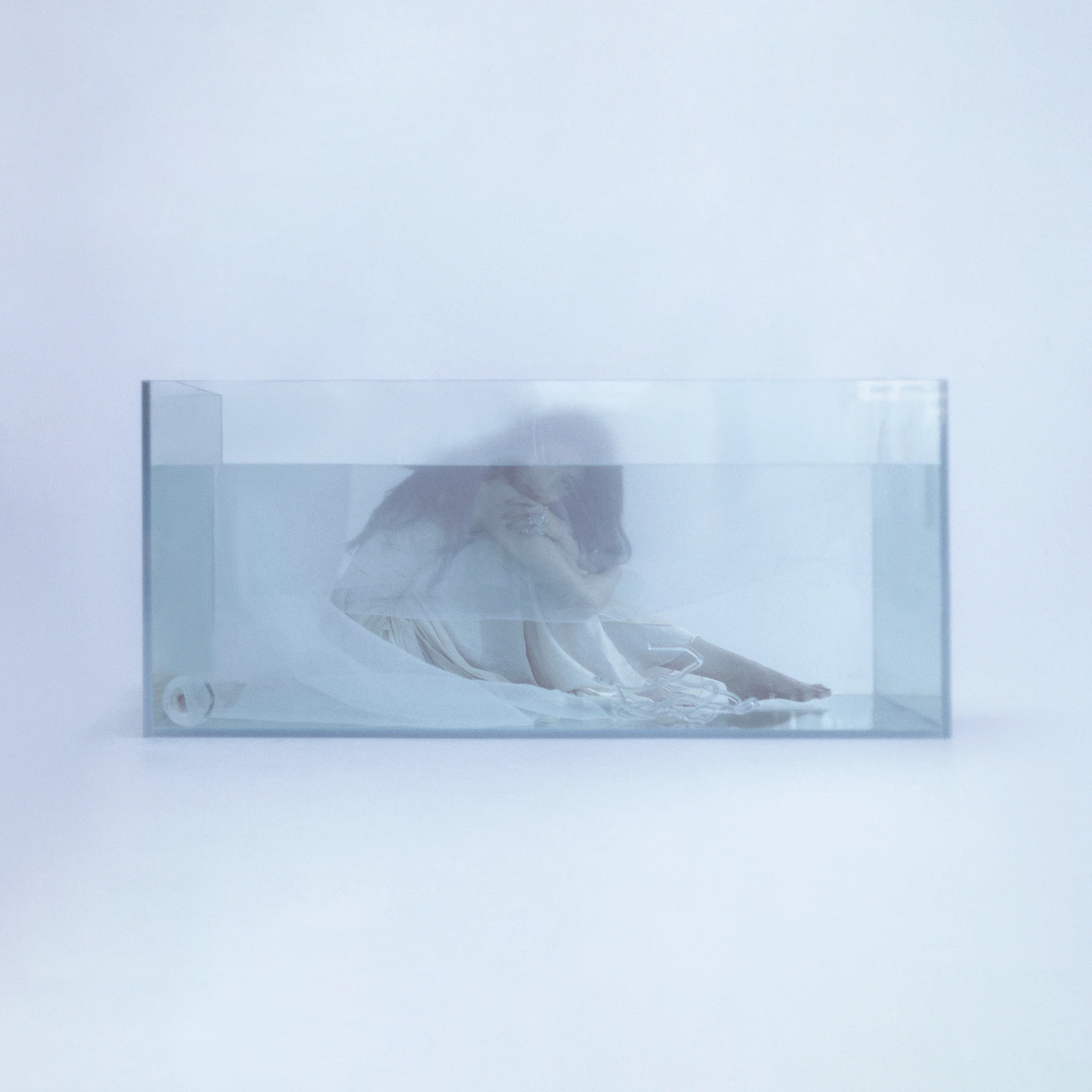 4113071.jpg?version=undefined