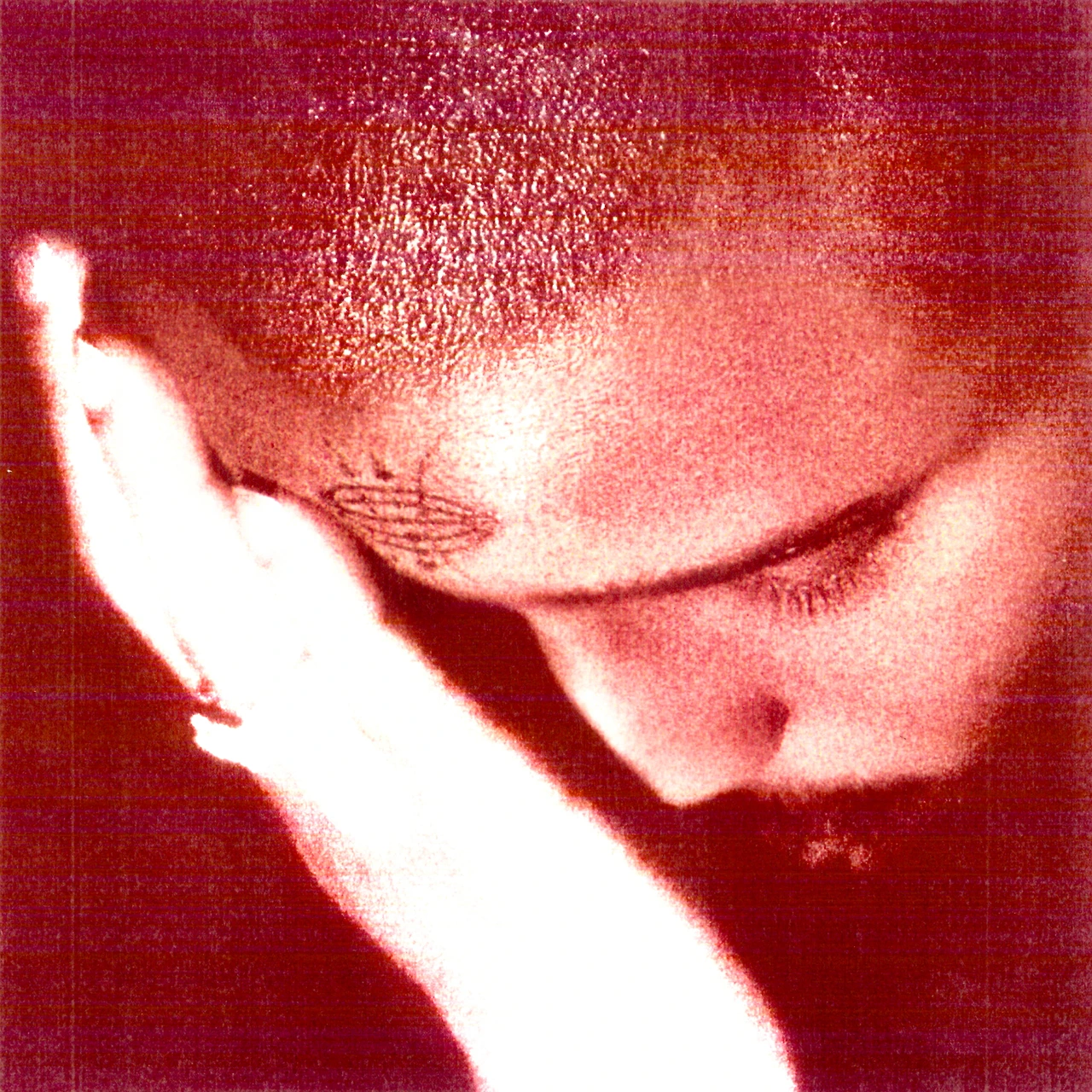 38572286.jpg?version=undefined