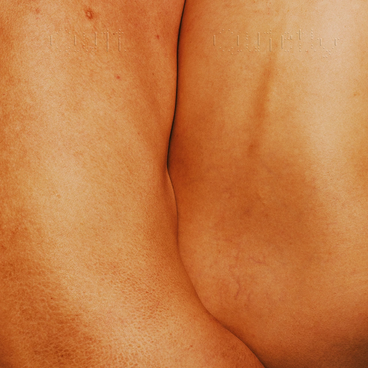 38444731.jpg?version=undefined