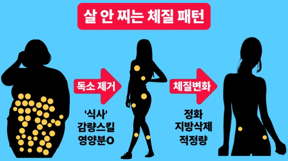 %EC%A0%9C%EB%AA%A9%EC%9D%84-%EC%9E%85%EB%A0%A5%ED%95%B4%EC%A3%BC%EC%84%B8%EC%9A%94_-002_(21).png?type=w580