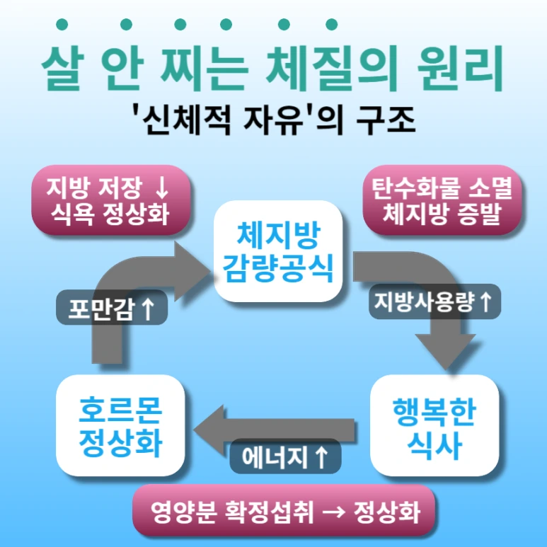 %EC%82%B4%EC%95%88%EC%B0%8C%EB%8A%94%EC%B2%B4%EC%A7%88%EC%9B%90%EB%A6%AC.png?type=w773