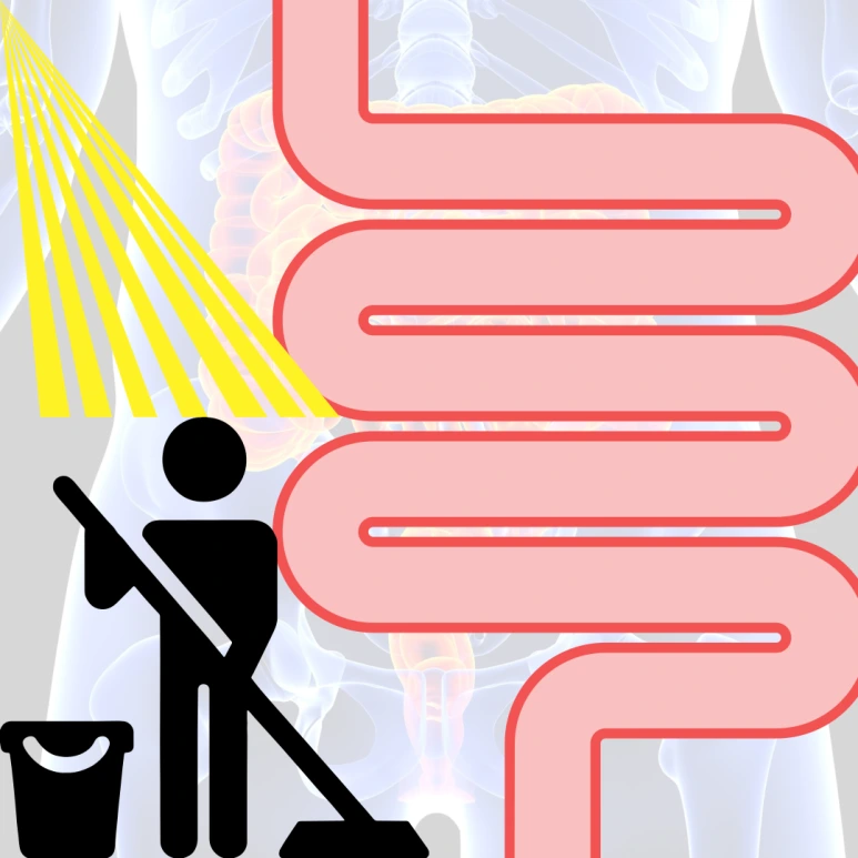 %EC%A0%9C%EB%AA%A9%EC%9D%84-%EC%9E%85%EB%A0%A5%ED%95%B4%EC%A3%BC%EC%84%B8%EC%9A%94_-002_(7).png?type=w773