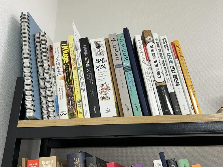 %EA%B4%80%EB%A0%A8%EC%B1%85%EB%93%A4.jpg?type=w773&jopt=2