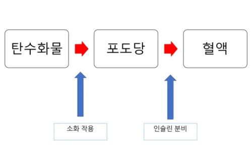 ?src=%22https%3A%2F%2Fblogthumb.pstatic.net%2FMjAyMjAzMDJfMTIw%2FMDAxNjQ2MjI3OTc5NDc4.lSxXL4Av1XD5oMPirzK48M_qiRkZJIPhD1A-y9fe-e0g.vv3y9F0fyl2qggiki4Tg_OFEVqvlT0sk2CfbrXRfKssg.PNG.sexygf0705%2Fimage.png%3Ftype%3Dw2%22&type=ff500_300