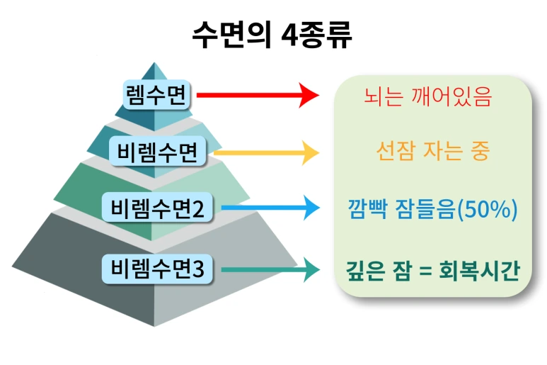 %EC%88%98%EB%A9%B4%EC%A2%85%EB%A5%98.png?type=w773