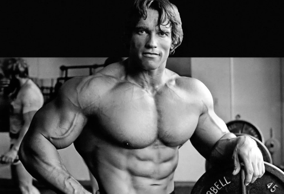 Arnold-Schwarzenegger.jpg?type=w966