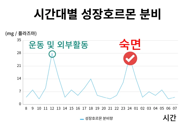 %EC%84%B1%EC%9E%A5%ED%98%B8%EB%A5%B4%EB%AA%AC%EB%B6%84%EB%B9%84.png?type=w773
