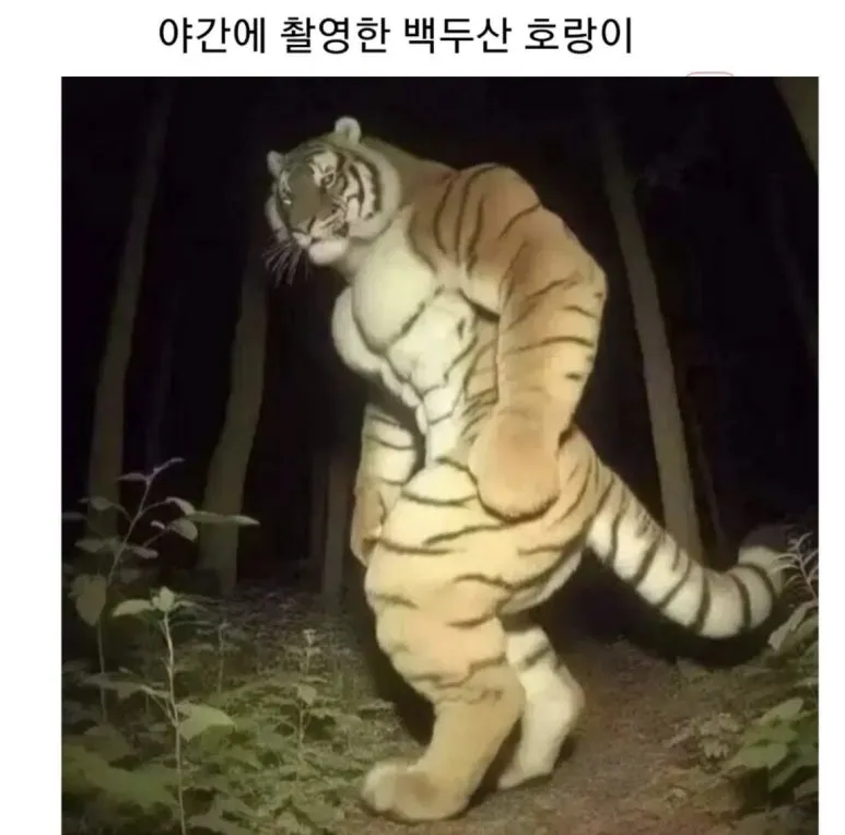 KakaoTalk_20240126_112412348.jpg?type=w773&jopt=2