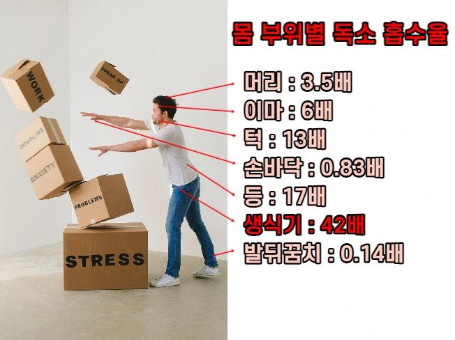 %EC%A0%9C%EB%AA%A9%EC%9D%84_%EC%9E%85%EB%A0%A5%ED%95%B4%EC%A3%BC%EC%84%B8%EC%9A%94_-005.png?type=w773