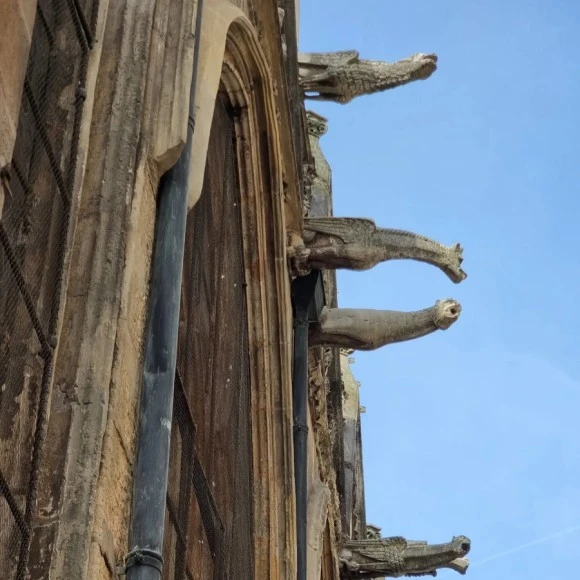 IMG%EF%BC%BF20220907%EF%BC%BF123307%EF%BC%BF999.jpg?type=w580