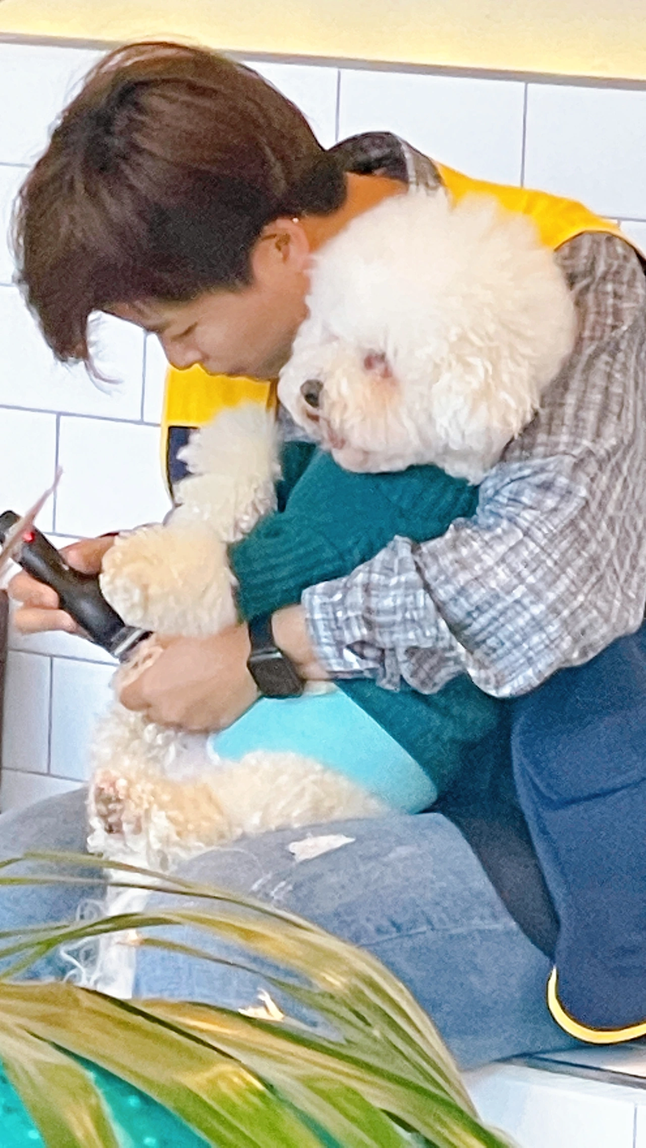 전주애견호텔 강아지호텔 고마워복실아 사회성 훈련19.jpeg