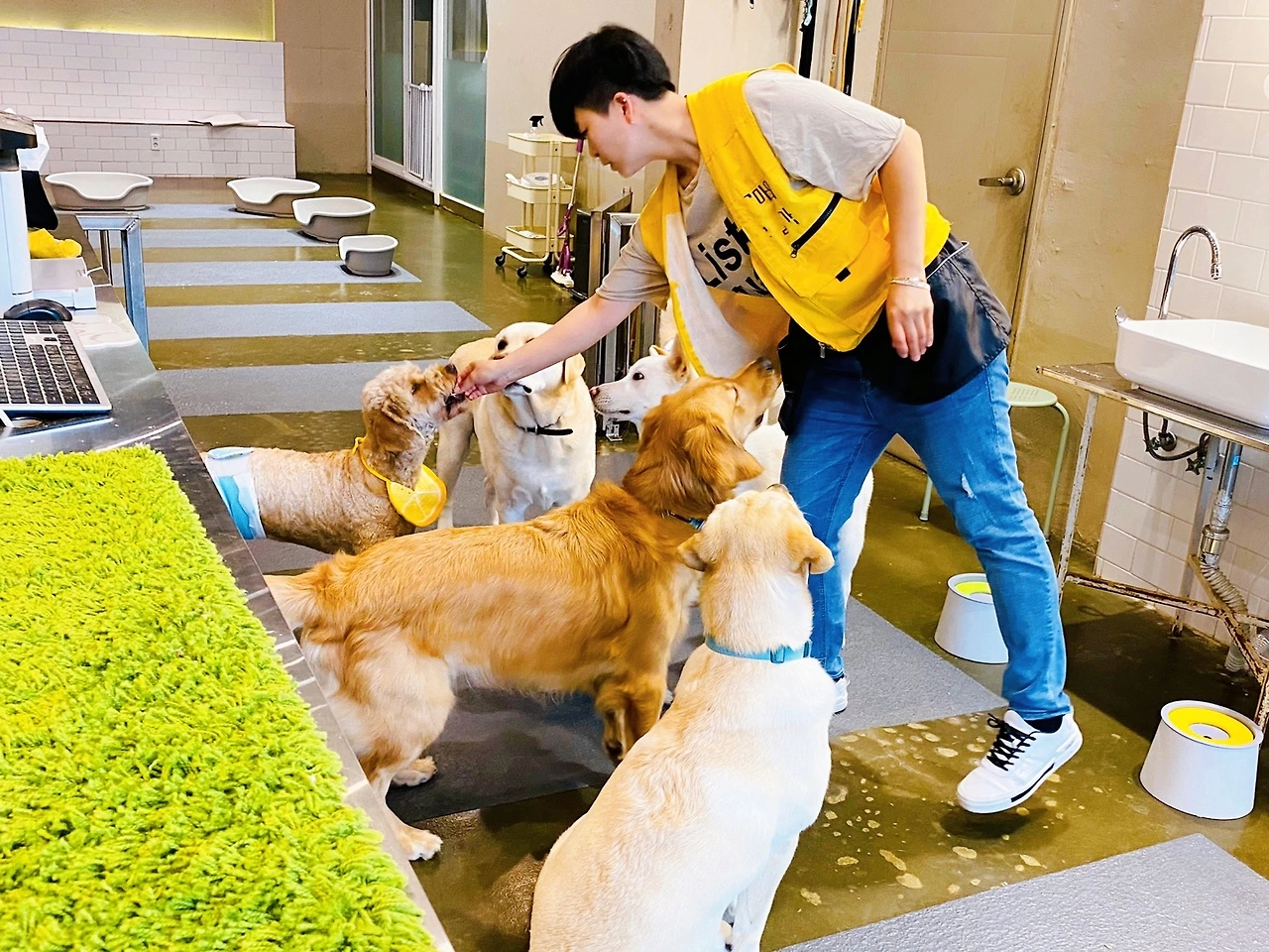 전주애견호텔 강아지놀아주기 고마워복실아2.jpeg