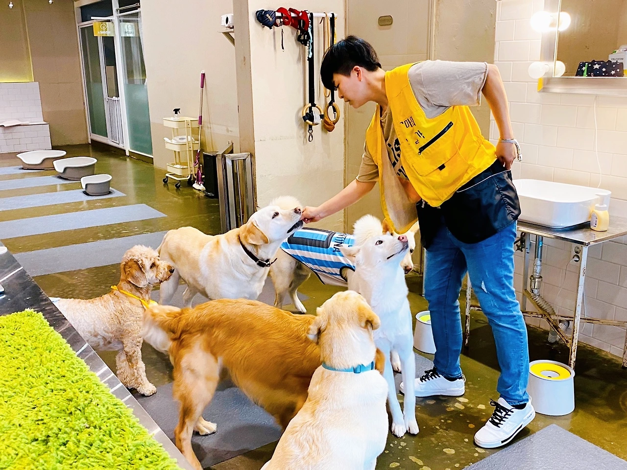 전주애견호텔 강아지놀아주기 고마워복실아1.jpeg