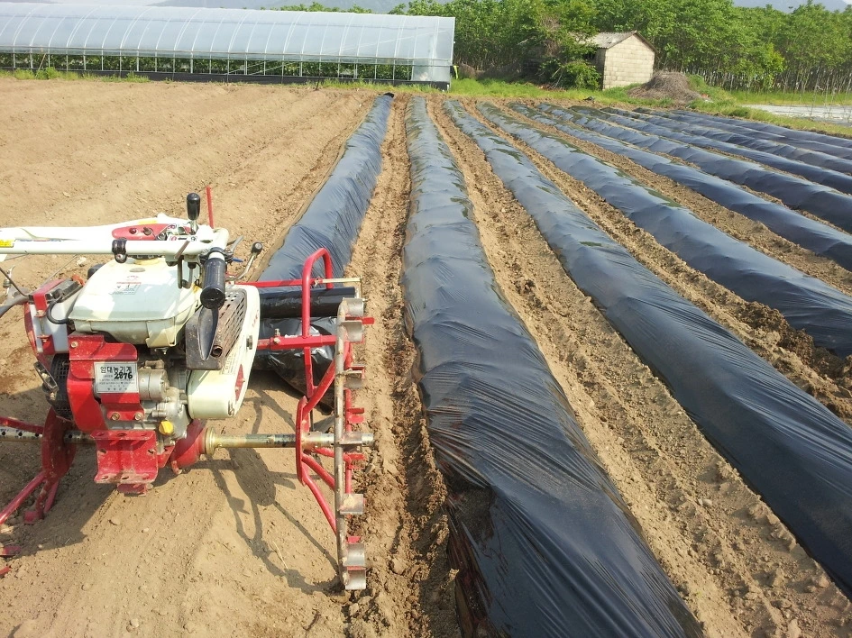 12703E3F4FABE46E31.jfif