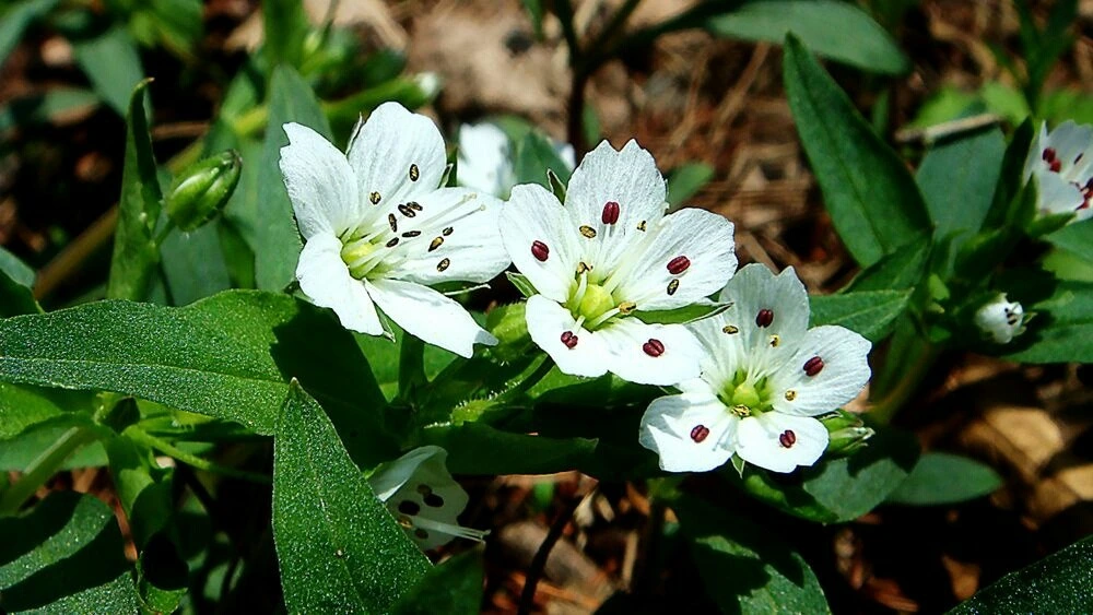 VcdJ-yUbjNjzkR6OUe8Xz5dTAqM