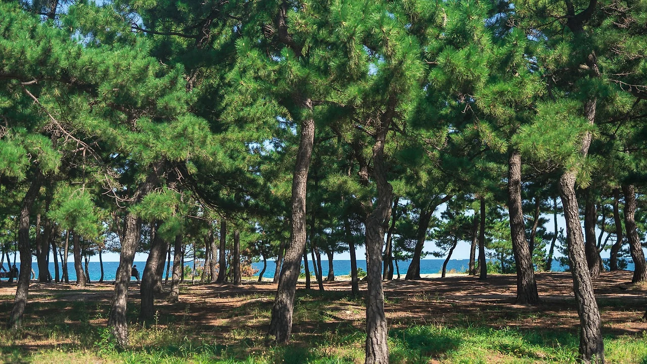 0BGQ0ouFEamlA5Fp1rFjWl0nJUMDIw0IvPTY_86BjpIbFGgXlNxzwtmWmmG6sRf6bholo94K6ZnjwGu6aTtwq72JGYl3MQA7T_Vln8ssvK1fUsn8yYoW8zxYKR7_hEXJAx-Gc26lAQYrxy-m72LDLm97bc98ARwZ1hS0wjc-VH7mytZTDSmJvofr0IE1pQ