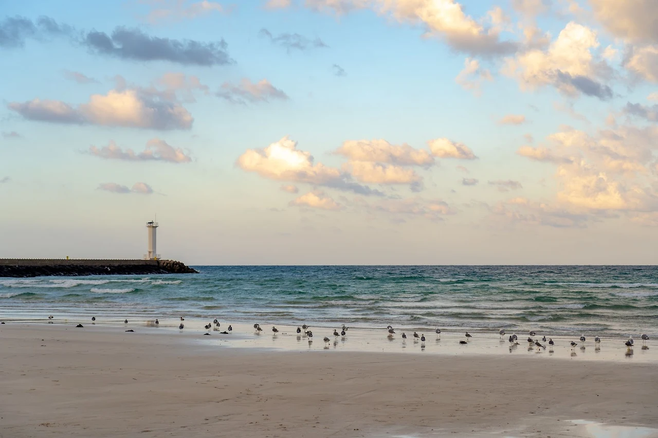 e8wr1uYYlKoETgwYDCRpOU8--TpDmlWNwOsgutaViNPIGqdP62yZ5jIGT7YHwml3RKI2sWdQppcfFAJBD8KDCt9jOdSxdxj8bev6Nf3pzz32fzcEczTnbS0MwnkOoG5usONNNR1Gb2uFNV0r9Ue8vz4