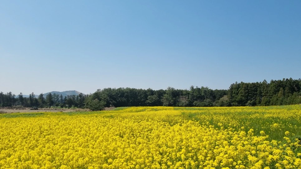 KakaoTalk_20230118_144425636.jpg?type=w966