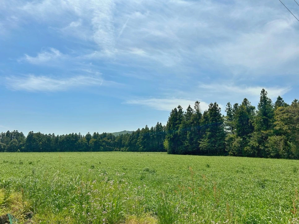 IMG_2832.jpg?type=w966