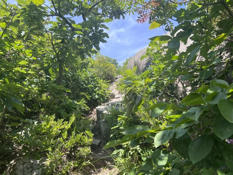 IMG_3001.JPG?type=w773