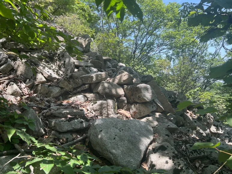 IMG_2986.JPG?type=w773