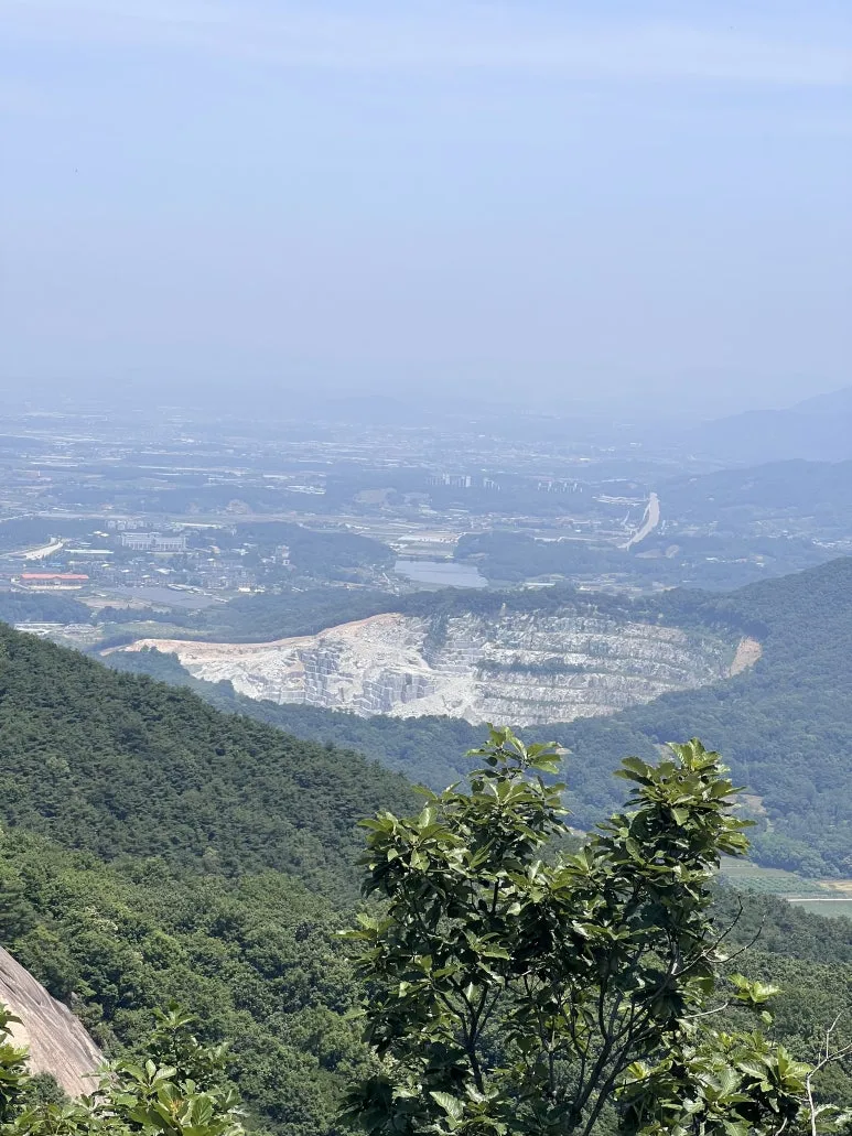 IMG_3065.JPG?type=w773