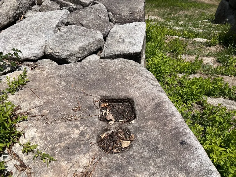 IMG_3216.JPG?type=w773