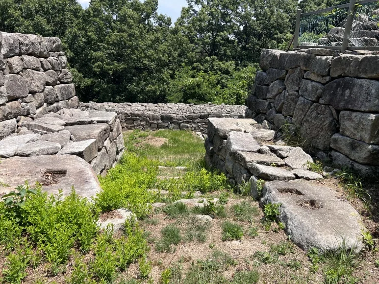 IMG_3218.JPG?type=w773