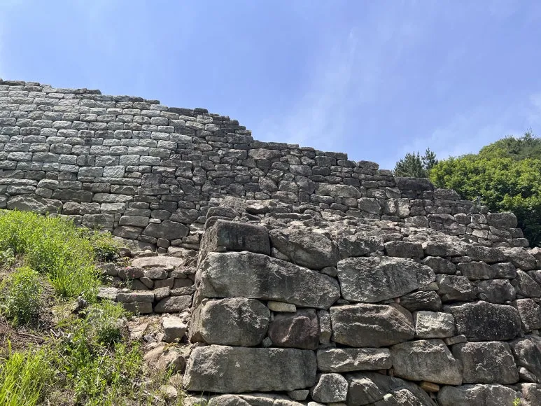 IMG_3236.JPG?type=w773